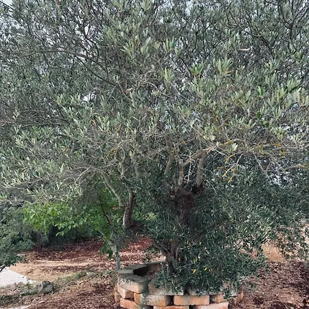 Nyaraló Trulli Camaris