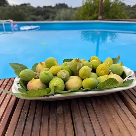 Trulli Camaris * Челье-Мессапика