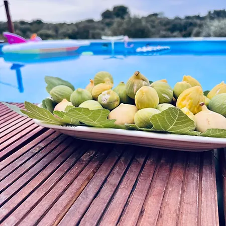 Дом отдыха Trulli Camaris Челье-Мессапика